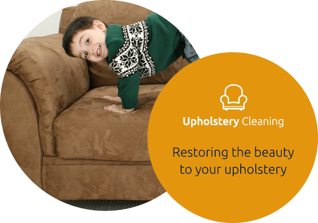 Upholstery Cleaning Upholstery Cleaning